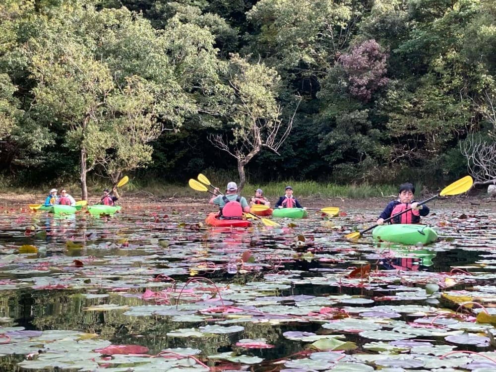 Open Positions in Japan Nova